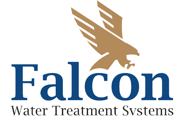 Falcon Egypt WTS