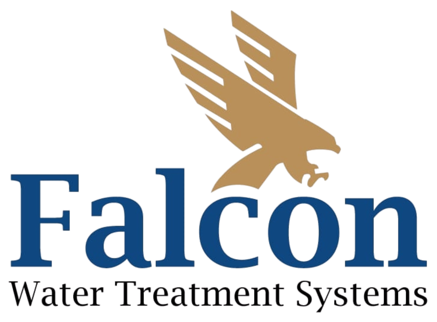Falcon Egypt WTS